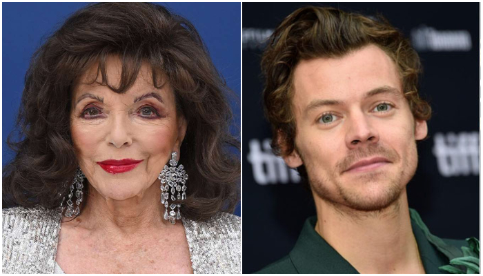 Dame Joan Collins recalls how Harry Styles annoyed her during Chers performance in Met Gala 2019