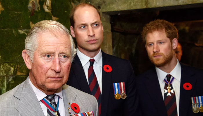 Prince Harry gives up plan of writing second memoir for Charles, William