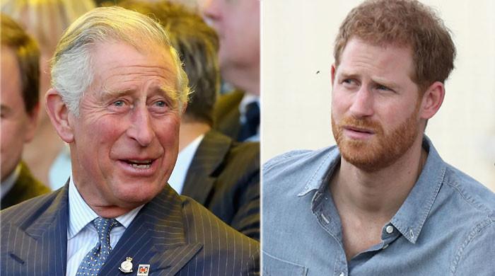 Prince Harry’s career suffering exposed amid King Charles’ favoritism