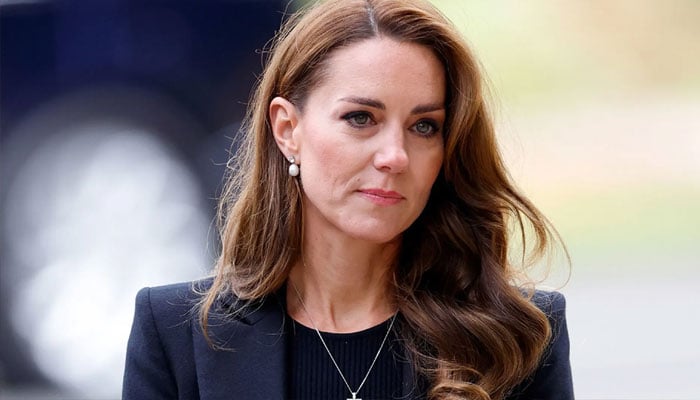 Kate Middleton is fighting a ‘glaring’ double standard against the Palace