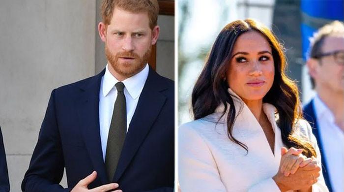 ‘Earthly’ Prince Harry is ‘too different’ from Meghan Markle: ‘Do they ...