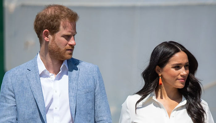 Prince Harry, Meghan Markle money concentration has different source