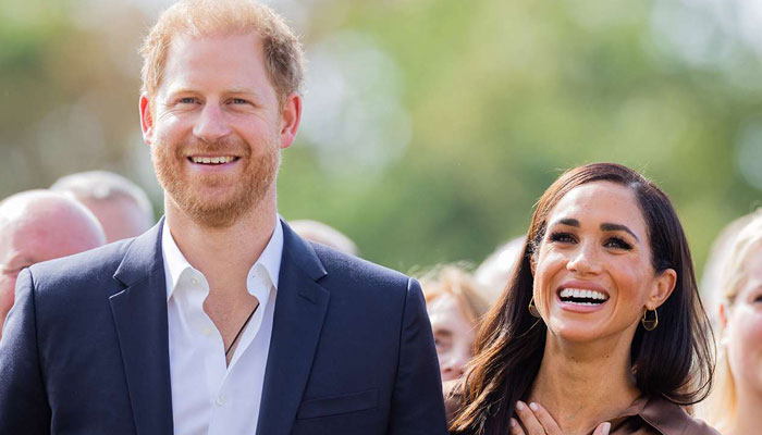 Prince Harry would triggered by Meghan Markle passionate activism