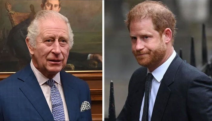 Prince Harry thinks King Charles ‘never wanted’ him financially stable