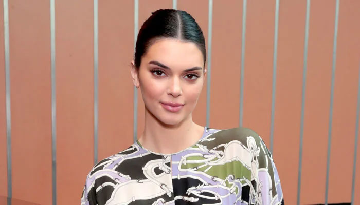 Kendall Jenner just wore the bag you obsessed over in 2000