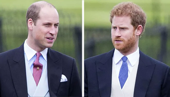 Prince Harry believes Prince William has been ‘at war’ for months