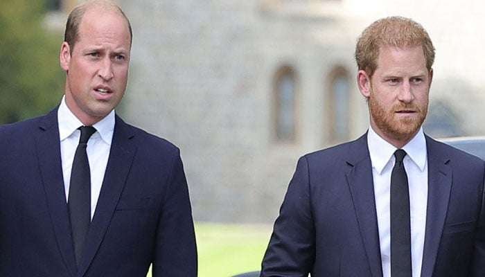 Prince William, Prince Harry told to accept reality and mature to mend bond