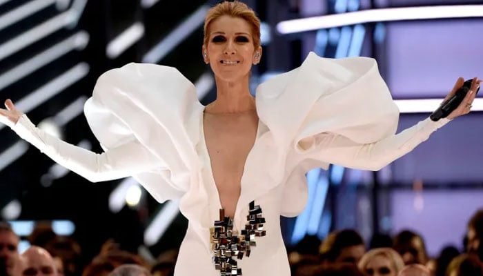 Celine Dion comes out of isolation after nearly four years