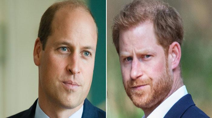 Prince William to show Prince Harry who is the 'real philanthropist'