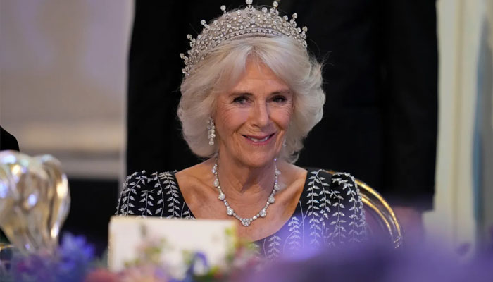 Queen Camilla has never looked the part before now