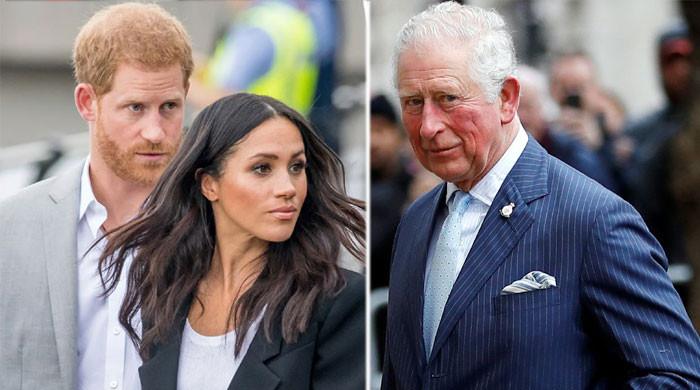 Prince Harry, Meghan Markle a ‘threatening empire’ for King Charles