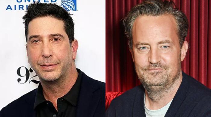 Matthew Perry's memoir unveils David Schwimmer's heroic stand at ...