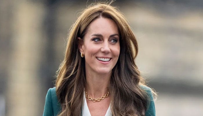 Kate Middleton parents shut down business, don't want mistakes to ...