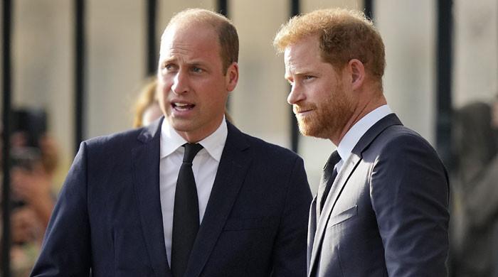 Prince William Never Thought Harry Was ‘capable Of’ Attacking Royal Family