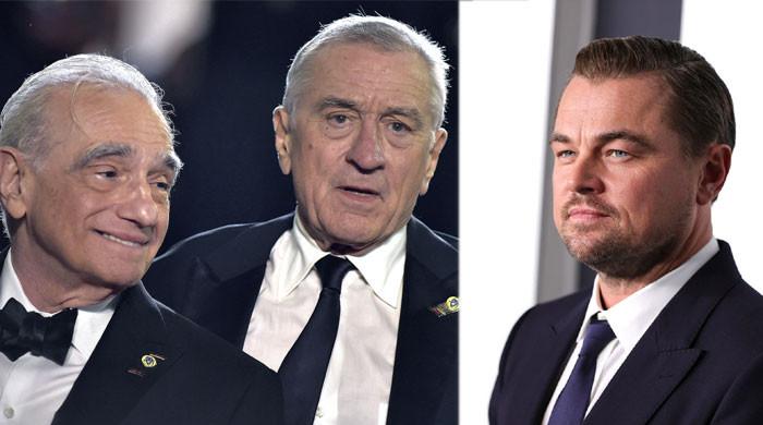 Leonardo DiCaprio is fuming at Martin Scorsese & Robert De Niro