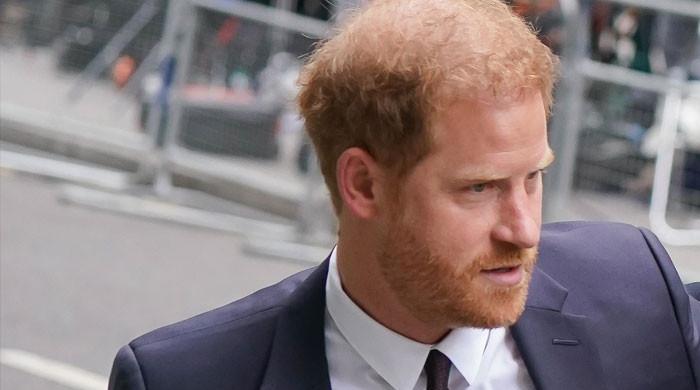 Prince Harry to ‘turn his back on the showbusiness life’