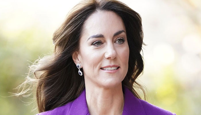 Kate Middleton 'business like demeanor makes her perfect Princess of Wales: