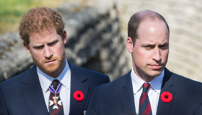 Prince William’s true feelings over Harry’s Christmas absence disclosed