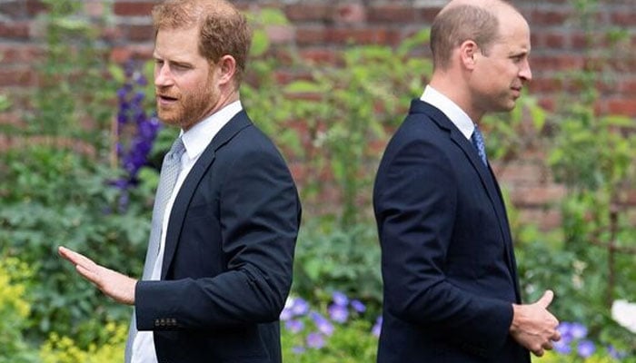 Prince William determined to keep Prince Harrys curse away from Royal Family