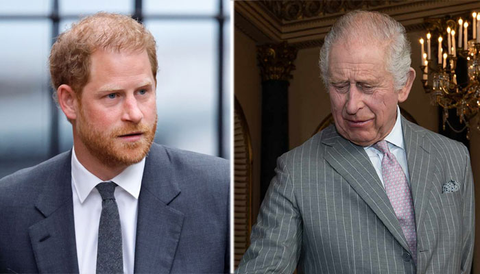 Palace aides break silence on infamous King Charles birthday call