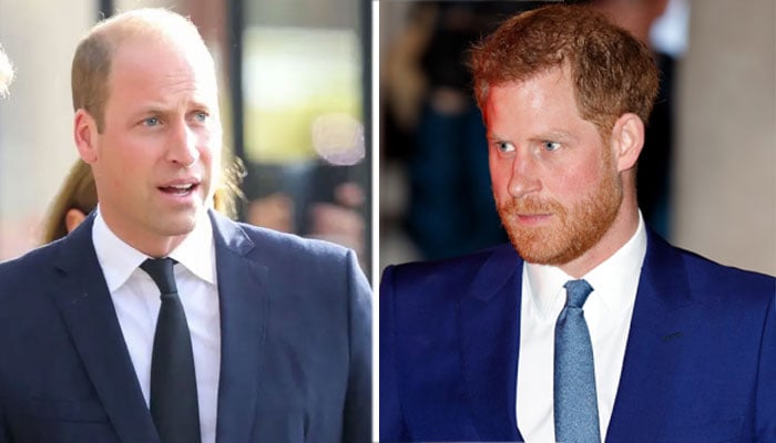 Prince William feels Prince Harry’s betrayal is too wounding to handle