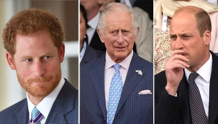 Prince Harry always ‘steals the scene’ from Prince Willaim, King Charles