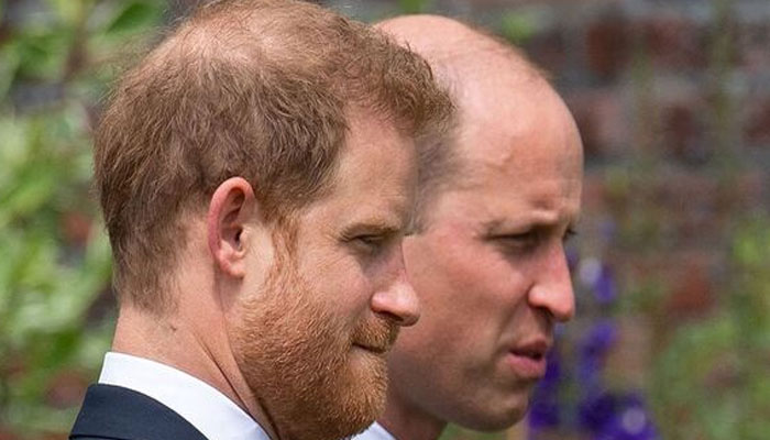 Prince William refuses to recognize Prince Harry amid brotherly feud