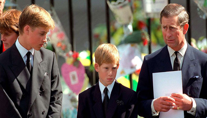 Prince Harry saw Prince William as pillar of strength at Princess Diana funeral