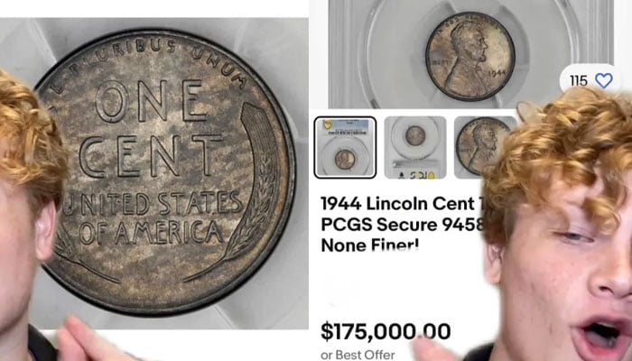 Your ordinary penny could potentially secure you a house worth $175,000—TikTok@bullionshark
