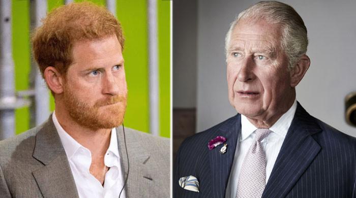 Prince Harry Urged To Take The Blame For His Role In Breakdown With ...