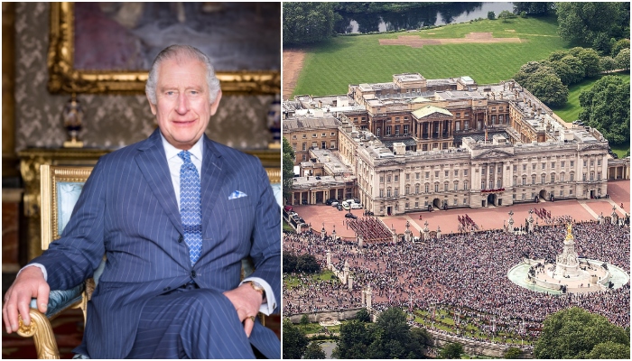 Buckingham Palace aides break silence on Omid Scobies Endgame