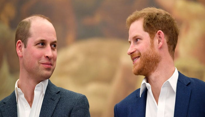 Prince Harry was disappointed from Prince William after the release of Spare