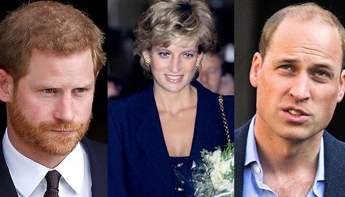 Princess Diana looms over Prince Harry, Prince William rift