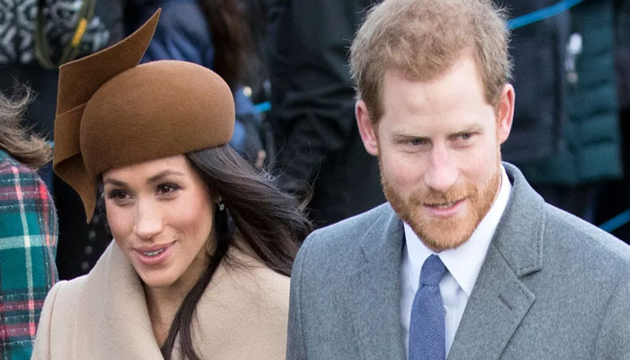 Meghan Markle, Prince Harry annoyed at Omid Scobie for Endgame
