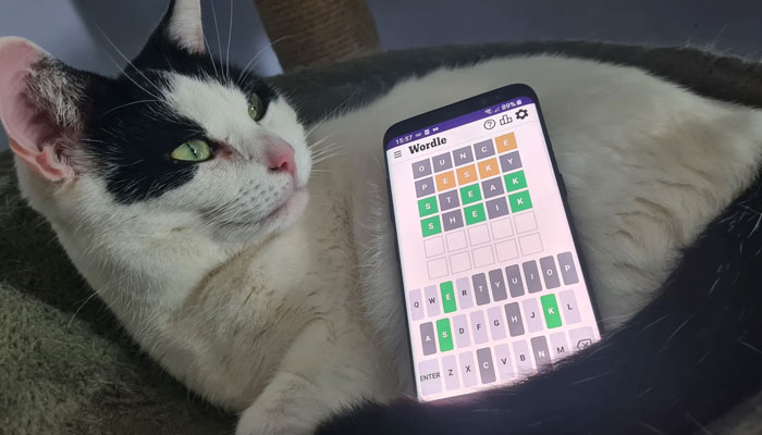 Kitty Letter: The Game Where Words and Cats Collide