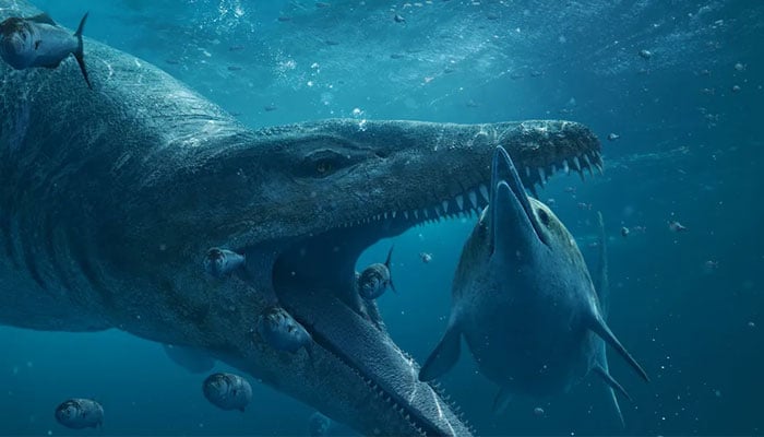 An artwork representing what the pliosaur may have looked like. — BBC