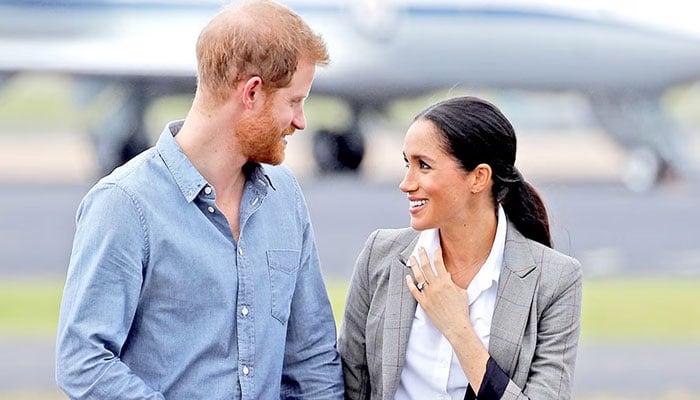 Prince Harry, Meghan Markle told to look in mirror as fingerprints all over Endgame