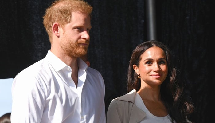 Prince Harry, Meghan Markle lived professionally worst year of lives