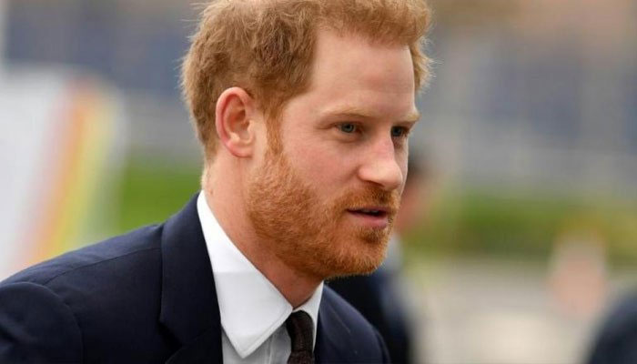 Prince Harry has personal agenda behind his ‘philanthropic efforts’