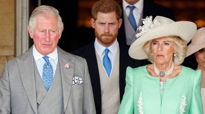 Prince Harry calling Camilla ‘wicked stepmother' blew King Charles mind