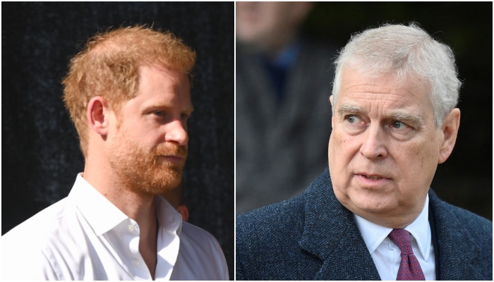 Prince Harry ‘making money’ as trivial revelations of Prince Andrew get redacted