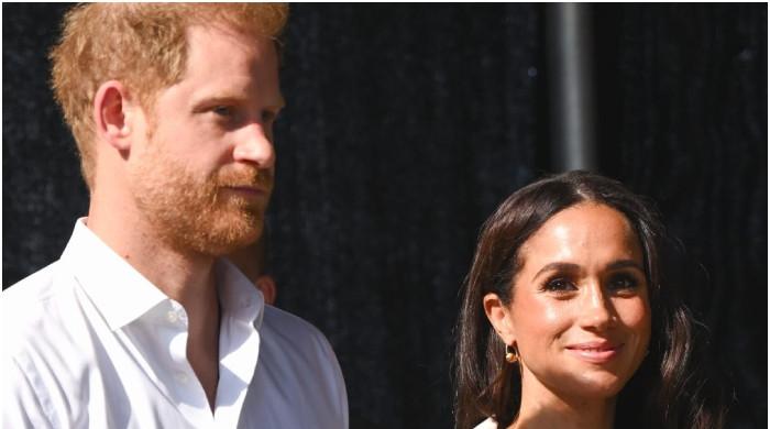 Prince Harry, Meghan Markle are trying to ‘distract' the world from ...