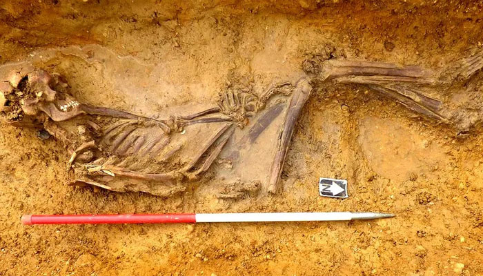 DNA analysis showed that this young man travelled to Cambridgeshire from the furthest reaches of the Roman Empire 2,000 years ago.—BBC News