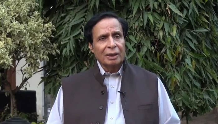 Former Punjab chief minister and Tehreek-e-Insaf President Parvez Elahi speaks in this still taken from a video. — X/@ChParvezElahi