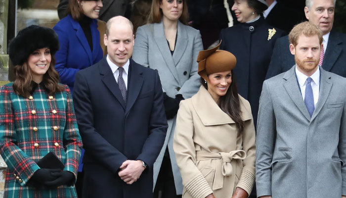 Meghan Markles exit from Royal Family in 2020 was a loss for the institution