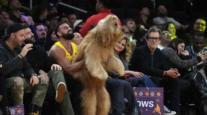 WATCH Brodie the courtside dancing dog at Lakers game makes more than NBA stars