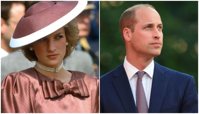 Royal expert believes Princess Diana’s ‘impact’ on Prince William has left him prone to criticism