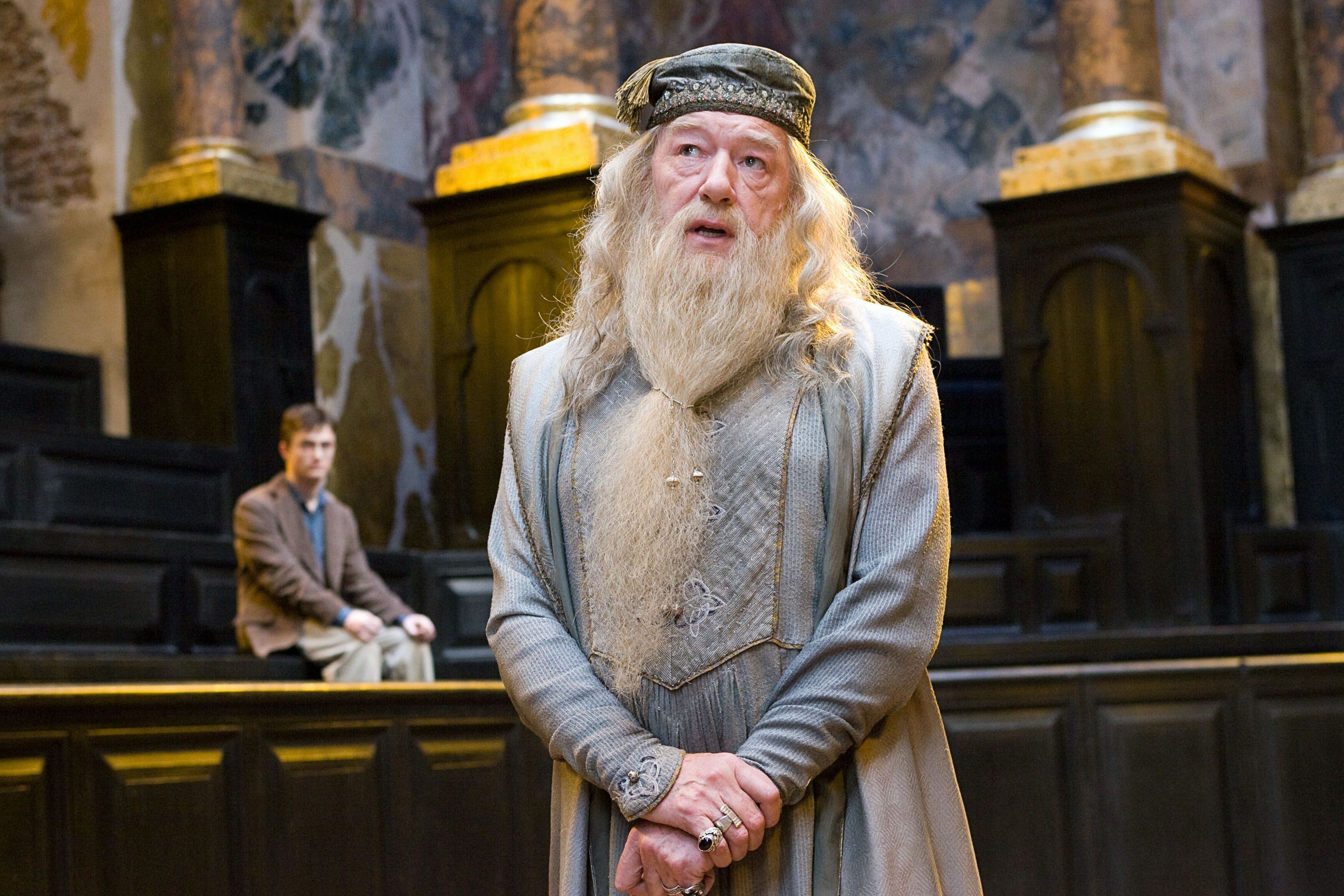 Michael Gambon in Harry Potter