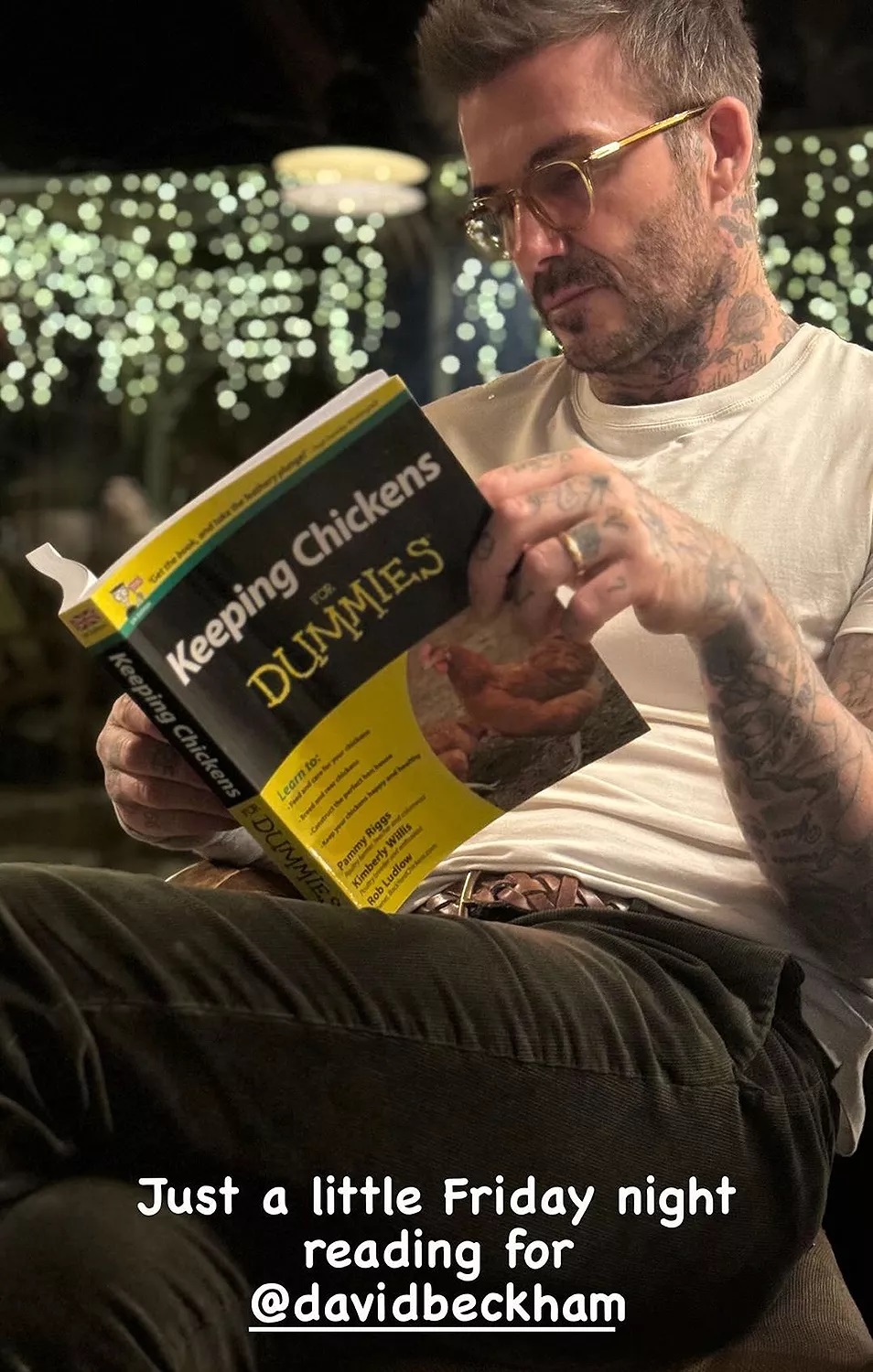 David Beckham educates himself about new hobby - see pic