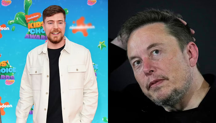 Cost Millions To Make: r MrBeast After Elon Musk Asks Him To Upload  Videos On X